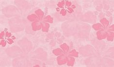 a pink flower wallpaper with lots of flowers on the bottom and bottom half of it