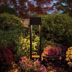 a garden with various flowers and plants in the evening light, including an outdoor lamp