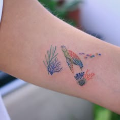 a person with a tattoo on their arm that has sea animals and corals painted on it