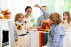 Thanksgiving Sandwich, Thanksgiving Foods, Turkey Salad, Frozen Turkey, Turkey Gravy, Thanksgiving Leftovers, Candied Pecans, Leftover Turkey, Shepherds Pie