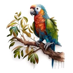 a colorful parrot perched on top of a tree branch