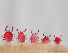 four red crabs are lined up in the sand