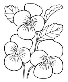 the flowers are drawn in black and white