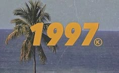 there is a palm tree next to the ocean and it says,'1971 we love it '