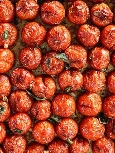 closeup of tomatoes with basil on them in a baking dish, ready to be cooked