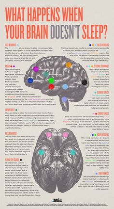 Sleep Deprivation Effects, Sleep Ideas, Building Habits, Sleeping Tips, The Human Brain, Lack Of Sleep, Human Brain