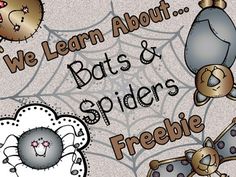 we learn about bats and spider's freebie