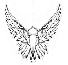 a drawing of a bird with large wings