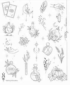 an ink drawing of flowers and perfume bottles