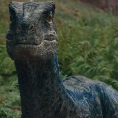 a close up of a dinosaur in the grass