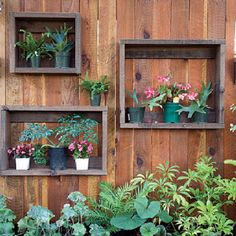 a wooden wall with plants and potted plants on it