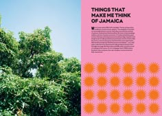 there is a pink and orange book with an image of trees in the background that says things that make me think of jamaica