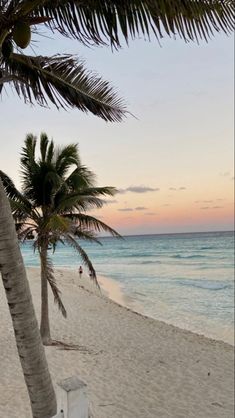 a beach with palm trees and the ocean in the background