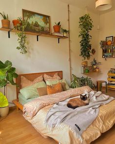 a dog laying on top of a bed in a room with plants and potted plants