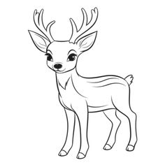 a deer with antlers on it's head