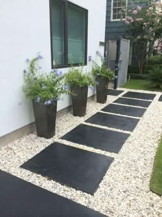 some plants are in black pots on the side of a house