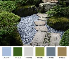 a garden with rocks, grass and trees is shown in the color scheme for this image