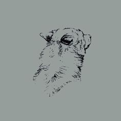 a black and white drawing of a dog's face