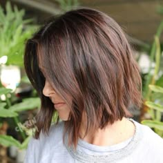 Womens Hair Color, Hair Color Brunettes, Cinnamon Highlights, Coffee Hair Color, Winter Hair Color Trends, Coffee Hair, Brown Bob, Hair Color Chocolate, Violet Hair