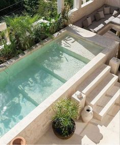 an outdoor swimming pool surrounded by greenery and potted plants