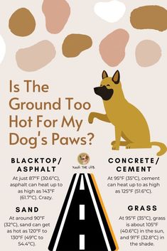 a dog sitting on the side of a road next to a sign that says, is the ground too hot for my dog's paws?