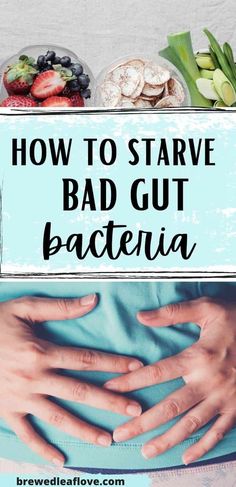 How to Starve Bad Gut Bacteria and Improve Gut Flora - Empty Nest Bliss Gut Healing Foods, Healthy Gut Diet, Healthy Gut Recipes, Improve Your Gut Health, Gut Health Diet, Gut Healing Recipes, Gut Health Recipes, Healing Foods