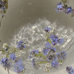 blue and white flowers floating in water on top of a bowl with ripples around it