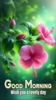 a pink flower with green leaves and the words good morning wish you a lovely day