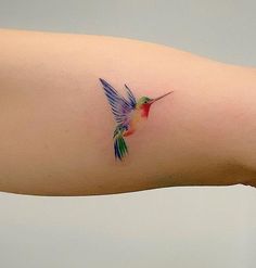 a small hummingbird tattoo on the left arm and right arm, it is colorful