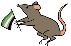 a cartoon rat holding a flag and looking at it's back with one foot