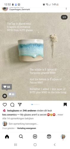 an instagram page with a blue and white bowl on the left hand side, text below it