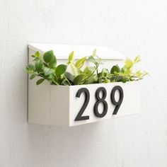 a house number sign mounted to the side of a wall with plants growing in it