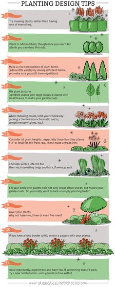 an info sheet describing the different types of plants