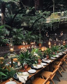 Wedding in Miami Jungle Wedding, Outdoor Dinner, Dinner Set, Wedding Mood Board, Wedding Mood, Hawaii Wedding, Tropical Wedding