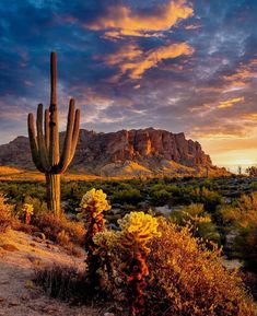 Mountains Superstition Mountains Arizona, Arizona Aesthetic, Desert Scenes, Arizona Mountains, Desert Aesthetic, Visit Arizona, Arizona Sunset, Arizona Landscape