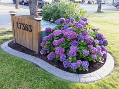 the purple flowers are blooming in the flower bed by the mailbox on the side of the road