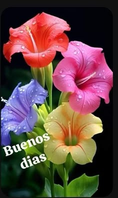 three colorful flowers with the words buennos dias in spanish on top of them