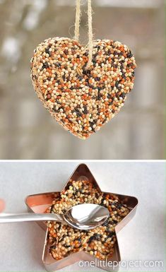 bird seed feeder hanging from a star shaped ornament