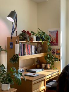 a desk with books and plants on it