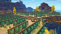 an image of a farm in minecraft