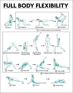 the full body flexibility chart shows how to do an exercise with one hand and another leg