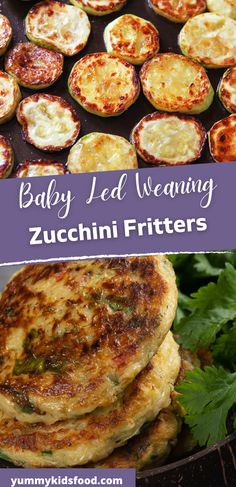 BLWrecipes
BLWfoods Easy Zucchini Fritters, Zucchini Tots, Essential Vitamins And Minerals, Veggie Frittata, Kids Breakfast, Box Recipes, Easy Zucchini