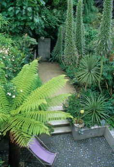 an outdoor garden with lots of plants and flowers on the ground, along with a purple chair