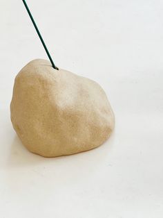 a rock with a stick sticking out of it