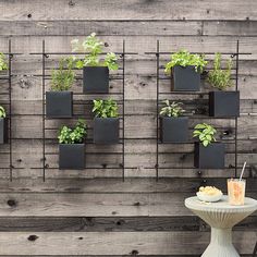 a wall mounted planter with several plants on it and a drink in the foreground