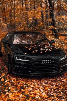 a black car is parked in the leaves