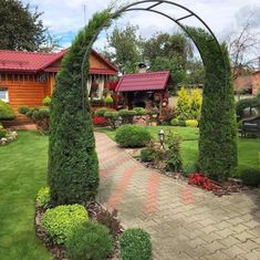 a garden with lots of green plants and flowers on the ground next to a house