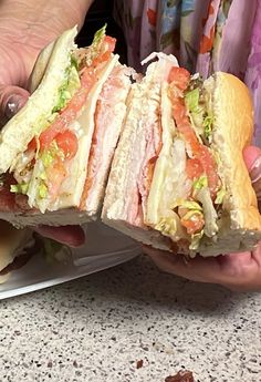 a person holding a large sub sandwich in their hands