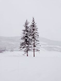 a lone tree stands in the middle of a snowy field with mountains in the background