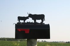 two cows are standing on top of a mailbox